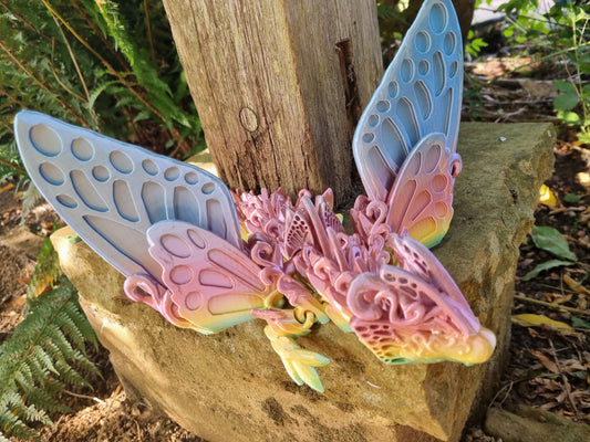 Winged Butterfly Dragon